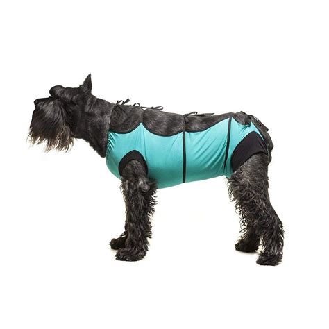 E-Collar Alternative for Cats and Dogs Designed to Protect Abdominal Wounds and Skin Disease ...