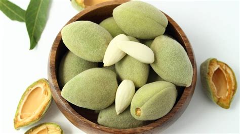 kacha badam aka green almond health benefits.- कच्चा बादाम के स्वास्थ्य ...