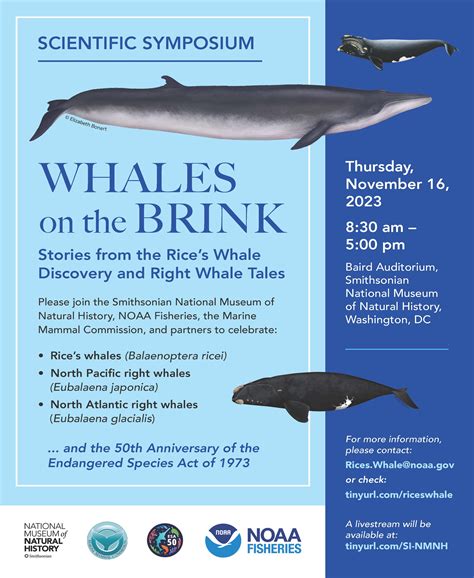 2023 Rice's Whale Scientific Symposium | NOAA Fisheries