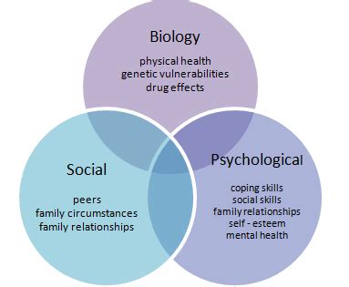 Whole person sex treatment- Biopsychosocial Approach - The SHOW Center