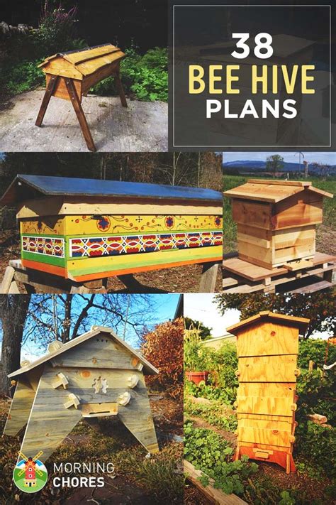 38 Free DIY Bee Hive Plans That Will Inspire You To Become A Beekeeper ...