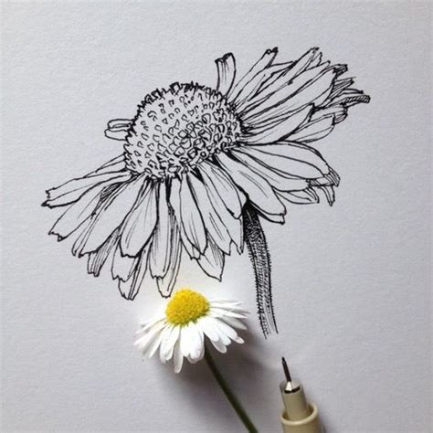 Bewitching And Beautiful Black Ink Drawings To Bedazzle You - Bored Art