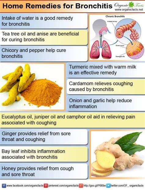 Home Remedies for Bronchitis | Organic Facts | Home remedies for bronchitis, Natural home ...