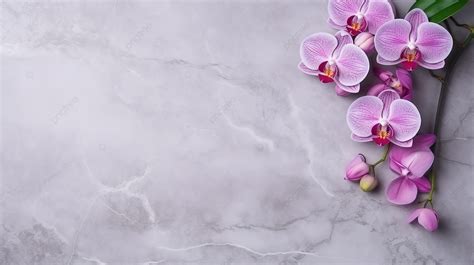 Marble Textured Aesthetic Background Featuring An Elegant Orchid Flower ...