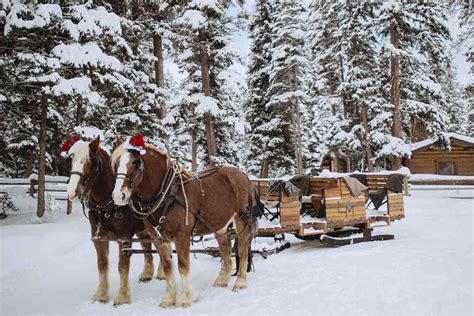 Take a Sleigh Ride to Dinner in the Montana Woods