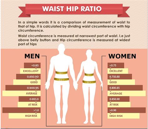 Waist-Hip Ratio – Image 3 | HCI Healthcare Limited