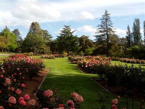 Wagga Wagga Botanic Gardens - 2020 All You Need to Know Before You Go ...