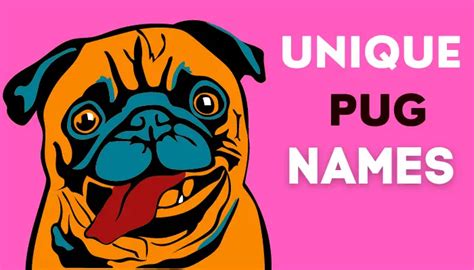 Best 500+ Pug Names Suggestions For A Boy That You Must Love