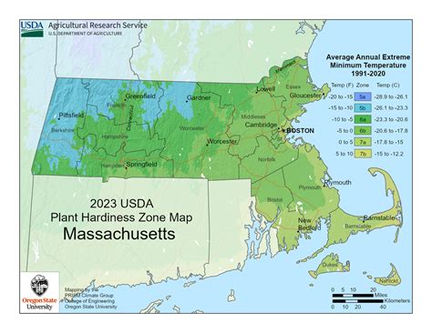 Massachusetts Zone Map For Hardiness And Planting | Gardening Know How