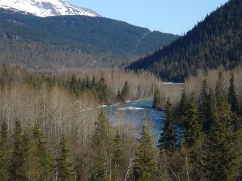 Copper River in Alaska | Natural landmarks, Travel, Landmarks