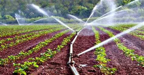 Types of Irrigation Methods Farms and Landscapes | Irrigation methods ...