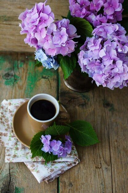 Coffee Grounds On Hydrangeas Things you can use coffee grounds for - Ahmad Fatoni