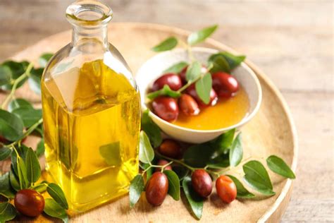 What is Jojoba Oil? – Benefits, Uses, How to Make Homemade, and More