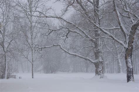 Seasons in Estonia: Weather and Climate