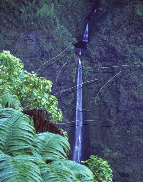 Waterfalls of Waipio Valley | Hawaiian Forest