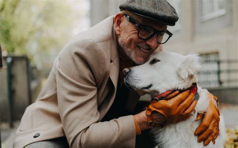 Senior Golden Retriever Greeting Old Neighbor Every Morning Melts Hearts - Newsweek