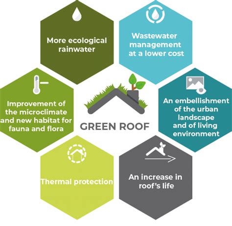 Green Roofs (All you need to know) - Climatebiz