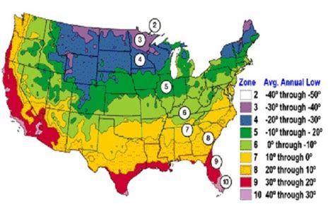 Use this Plant Zone Chart to know when to plant your garden