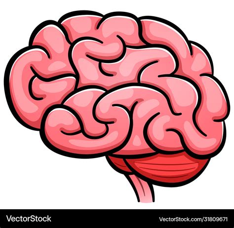 Human brain cartoon isolated Royalty Free Vector Image