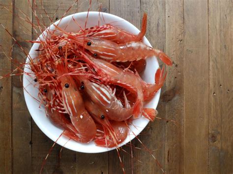 Four Spot Prawn Recipes & Where To Buy Them Before They’re Gone – Kitsilano.ca