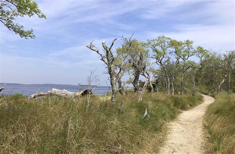 Coastal North Carolina Hiking Trails - Island Life NC