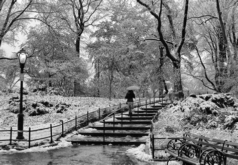 Photo entry: Winter in Central Park