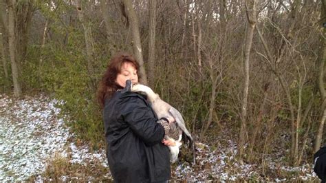 Woman's goose honking off some neighbors