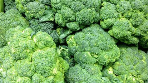 Broccoli Sprouts and Autism – Aspire Nutrition