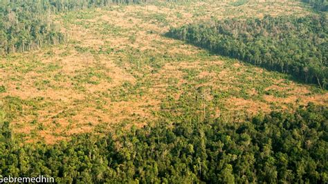 Protecting Cambodia's Wildlife