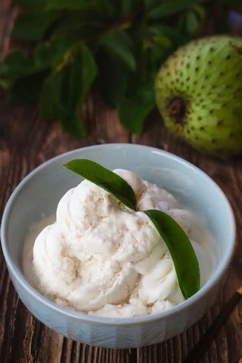 Soursop Ice Cream Recipe Without Ice Cream Maker