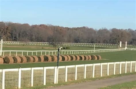 Kentucky Downs turf course gets major renovation