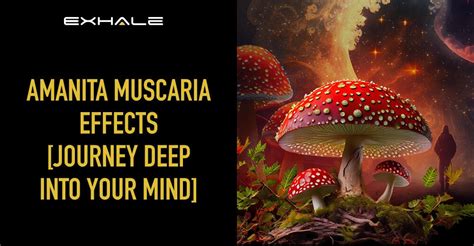 Amanita Muscaria Effects [Learn About Amanita Trip] - Exhale Wellness