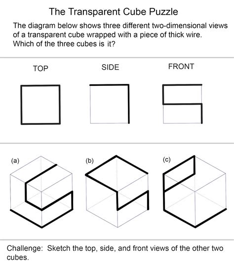 1001 Math Problems: Transparent Cube Problem