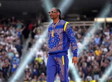 Snoop Dogg Included Gang References In His Super Bowl Halftime Show ...