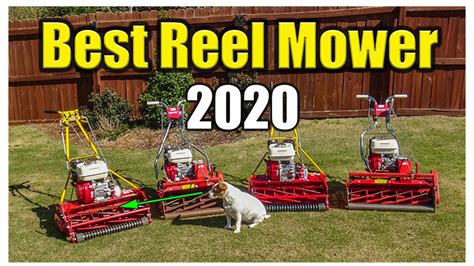 Best Reel Mower Reel Mowers