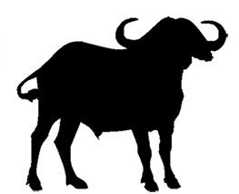 Water Buffalo Silhouette at GetDrawings | Free download