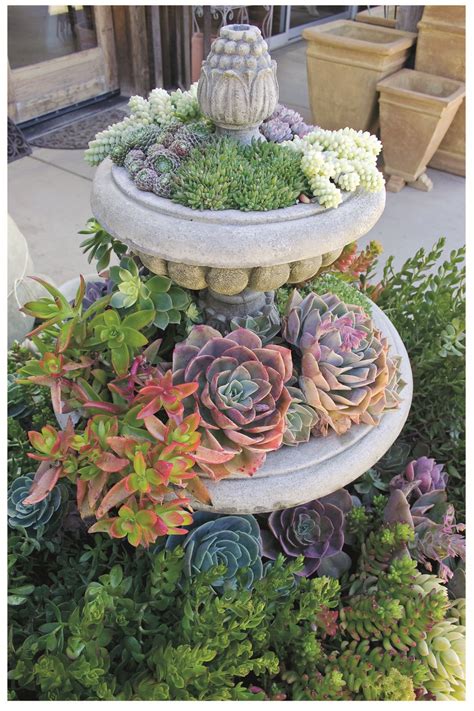 Gorgeous Designs and Ideas For Your Very Own Succulent Garden