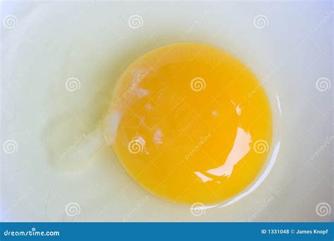 Raw Egg Yolk Royalty Free Stock Photos - Image: 1331048