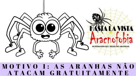 Medo de aranhas. 4 Motivos para não ter medo de aranhas