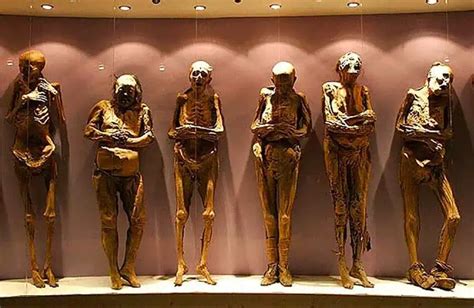 Commission will seek to identify the mummies of Guanajuato