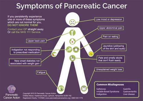 Pancreatic Liver Cancer - Health and Disease