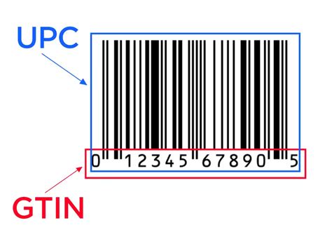 How to Find UPC Codes for Amazon in 2024 [Simple and Affordable UPCs]