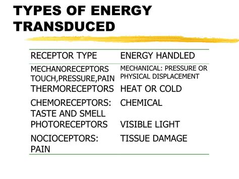 PPT - GENERAL PRINCIPLES OF SENSORY TRANSDUCTION PowerPoint ...