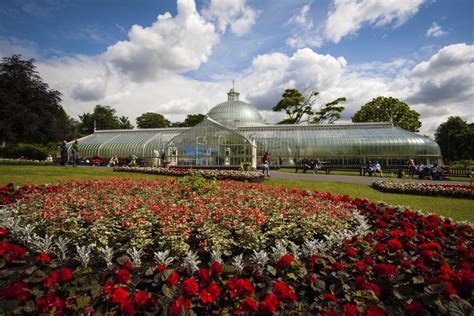 Glasgow Botanic Gardens » The Gardens