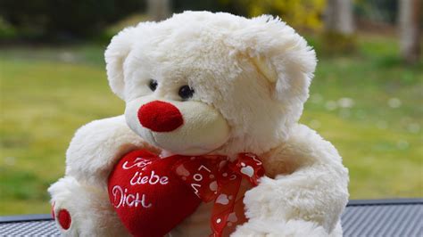 100 Happy Teddy Day Quotes 2024 - Talk In Now