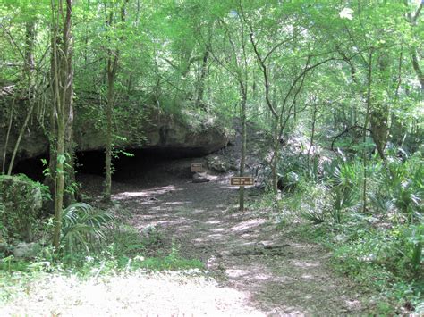 Exploring Florida Caverns State Park in Marianna, Florida | Northwest Florida Outdoor Adventure