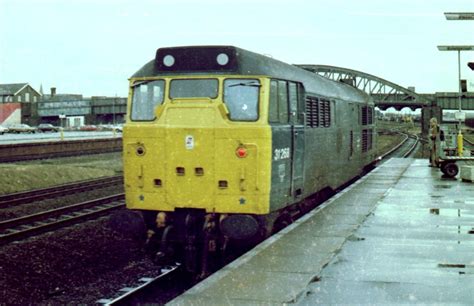 Class 31 Diesel Photo Gallery - 31268 photo area