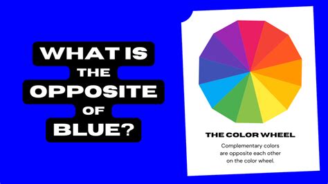 What Is the Opposite of Blue? (Complementary Color) | Color Meanings