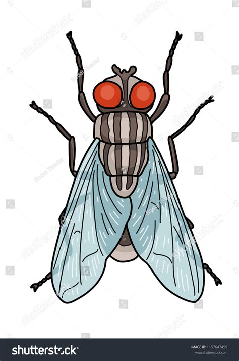 Fly Illustration Doodle Cartoon Drawing Ink Stock Vector (Royalty Free) 1157647459 | Shutterstock