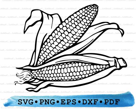 Corn Svg, Maize Silhouette, Cricut Transparent Outline Vector DXF EPS ...